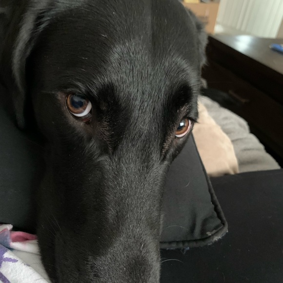 Like to BOOKMARK - Picture 5 of 5